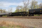 NS 212146